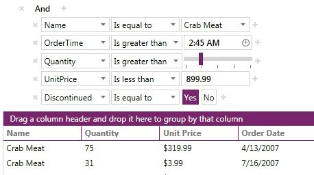 WPF DataFilter control displaying Customizable Editors